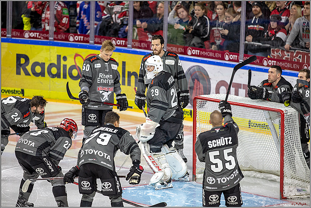DEL-Playoff; Koelner Haie - ERC Ingolstadt, 12.03.2019
